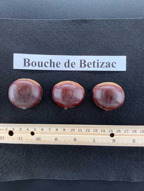 Bouche de Betizac